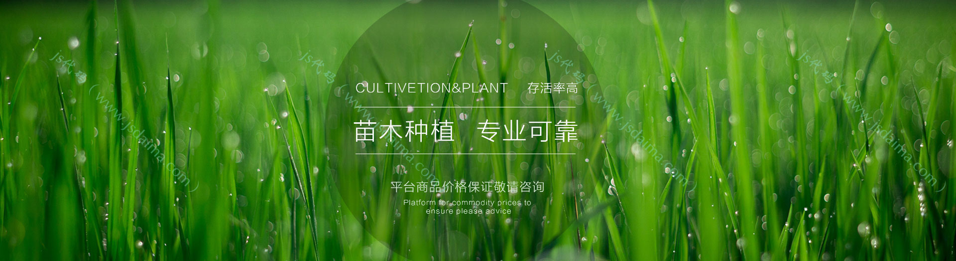幻灯一